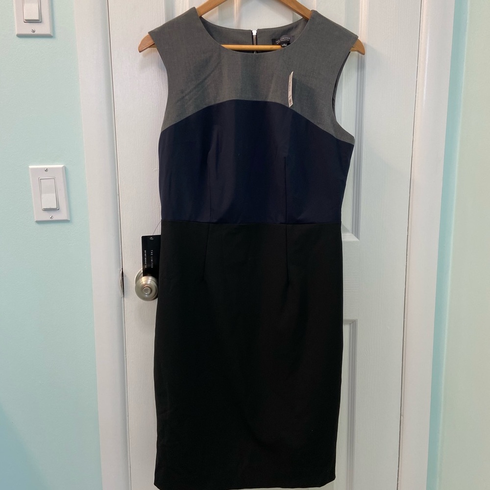 NWT! Limited Tricolor Dress